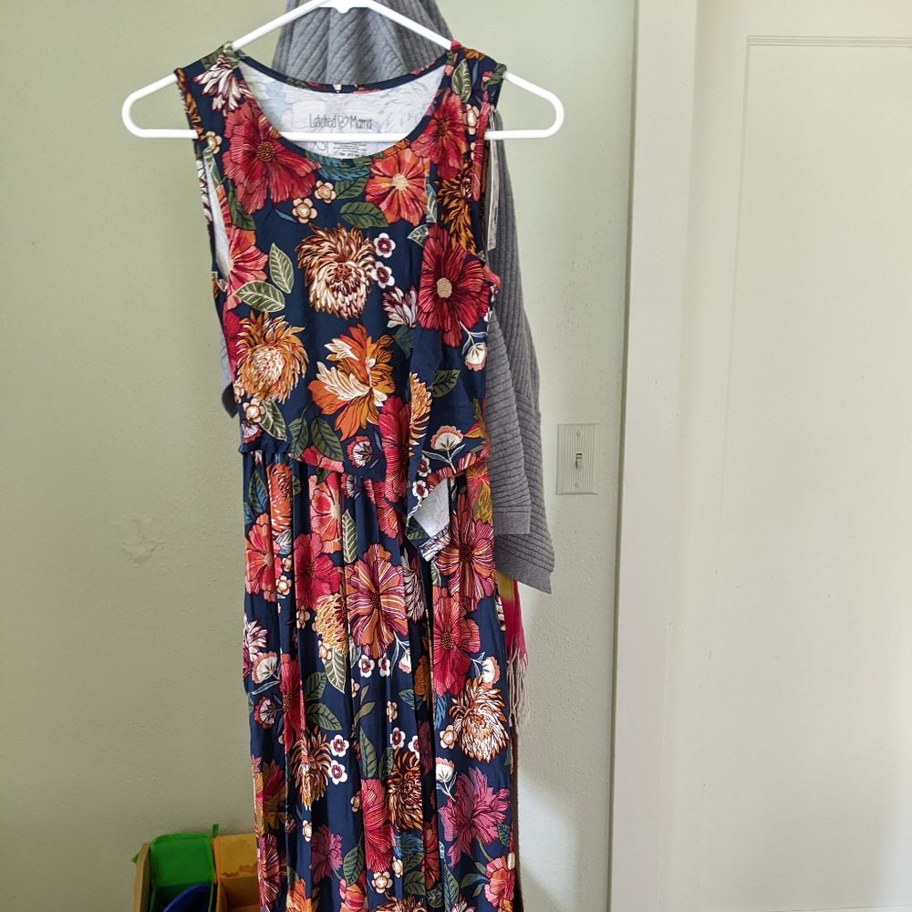 Latched Mama Radio Retro boardwalk dress NWT